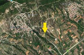 Teren construibil 3.500 mp în Zarkadia (front 40 m) anunturi imobiliare Grecia