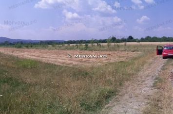Teren de vânzare în Bănești (zona Ausburg) anunturi imobiliare Prahova