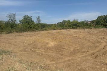 TEREN INTRAVILAN-PUZ APROBAT-2060 MP-ASTRELOR anunturi imobiliare Bucuresti
