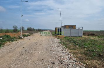 CERNICA  - TEREN INDUSTRIAL 5.000 MP anunturi imobiliare Bucuresti