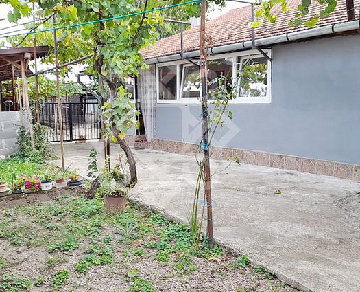 Casă 3 cam Tinca, 100 mp