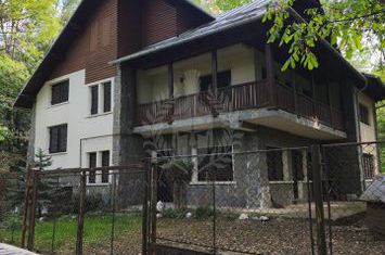 CASA DE VACANTA//CORNU DE JOS anunturi imobiliare Prahova