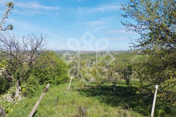Teren intravilan de vanzare 1665 mp, front 38m, strada Piatra Craiului anunturi imobiliare Bihor