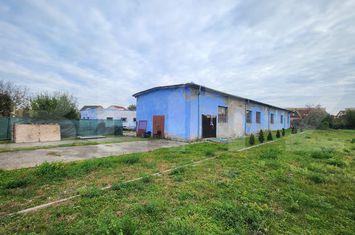 Teren de inchiriat TARGU MURES - Mures anunturi imobiliare Mures