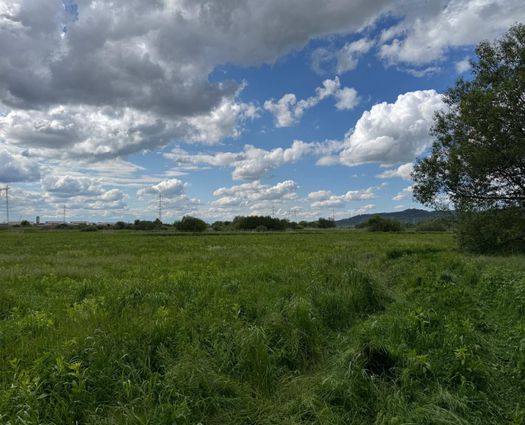 Teren Sibiu, 6300 mp