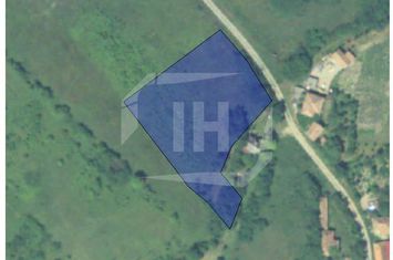 Teren de vanzare APAHIDA - Cluj anunturi imobiliare Cluj