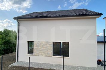 Vilă - 4 camere de vanzare DEZMIR - Cluj anunturi imobiliare Cluj