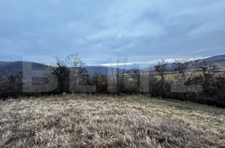 Teren de vanzare VINTU DE JOS - Alba anunturi imobiliare Alba