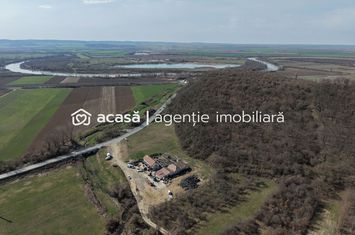 Oportunitate Investitie! Proprietate comerciala/industriala în Paulis anunturi imobiliare Arad