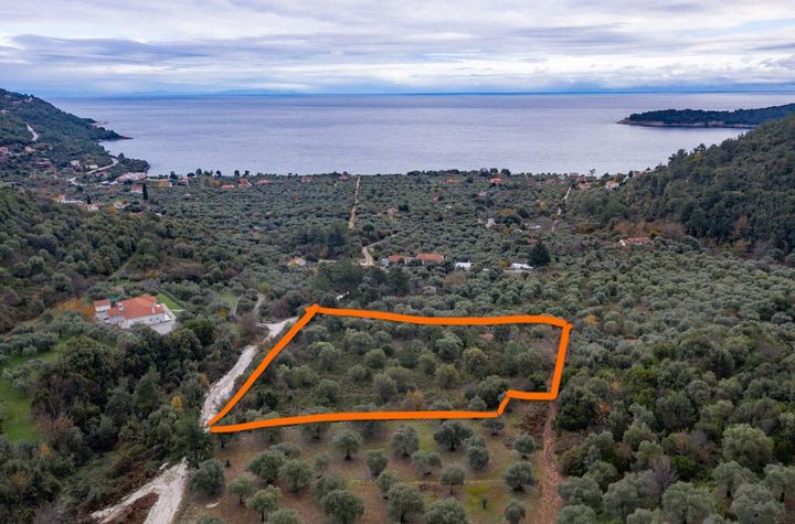 Teren construibil 5770 mp în Koinyra, Thassos anunturi imobiliare Grecia
