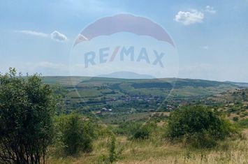 Teren Intravilan | Investitie | Baciu | Comision 0% anunturi imobiliare Cluj