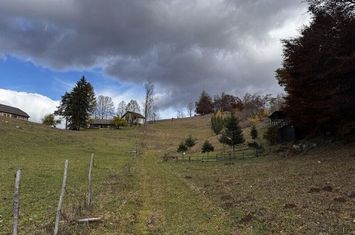 Teren 5839 mp Dambovicioara - Ciocanu - Fundata - zona montana anunturi imobiliare Arges
