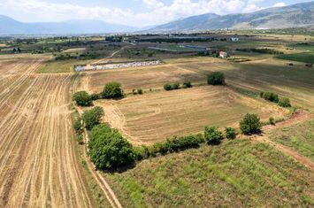 Teren construibil 8.090 mp în Xiropotamos anunturi imobiliare Grecia