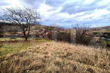 Teren de vanzare CLUJ-NAPOCA - Cluj anunturi imobiliare Cluj