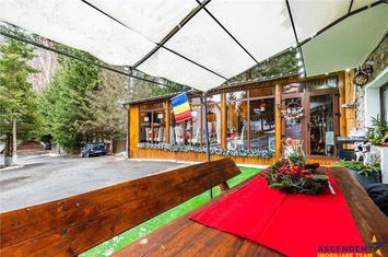 Vilă - 12 camere de vanzare EXTERIOR EST - Brasov anunturi imobiliare Brasov