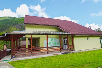 Vilă - 9 camere de vanzare GURA RAULUI - Sibiu anunturi imobiliare Sibiu