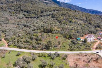 Teren construibil 2905,44 mp, Chrisi Ammoudia anunturi imobiliare Grecia