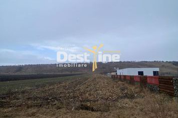 Teren de vanzare GIROV - Neamt anunturi imobiliare Neamt