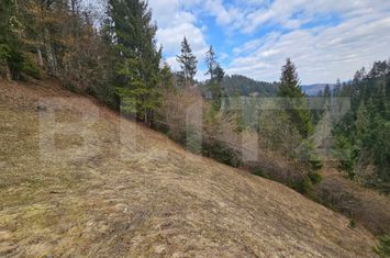 Teren de vanzare SCARISOARA - Alba anunturi imobiliare Alba