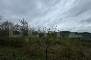 Teren de vanzare BALATA - Hunedoara anunturi imobiliare Hunedoara