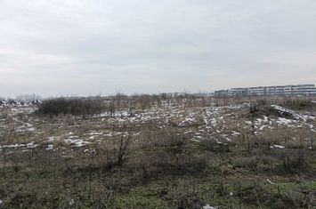 Teren investitie, aproape de AEROPORT anunturi imobiliare Timis