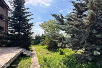 Tamasi - langa padure, casa 300 mp teren 711 mp, personalizabila anunturi imobiliare Bucuresti