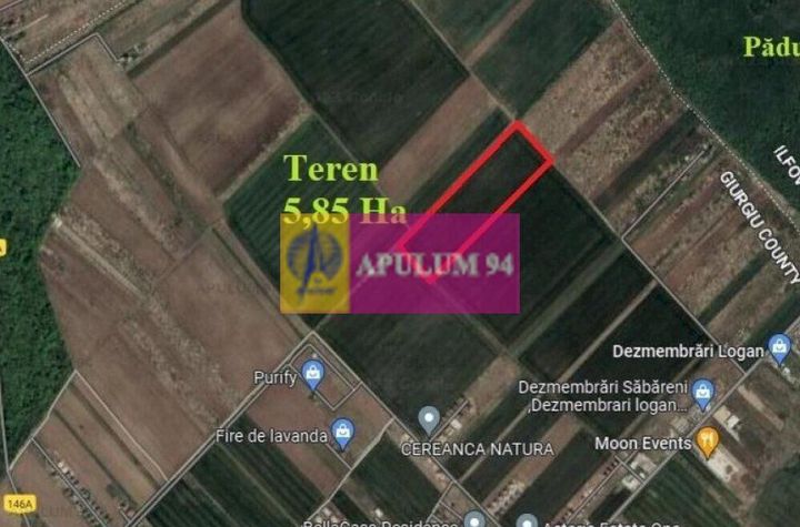 Săbăreni, teren intravilan construibil 5,85 ha, între 2 păduri anunturi imobiliare Giurgiu