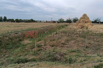 De vânzare fermă avicolă – Salonta, județul Bihor anunturi imobiliare Bihor