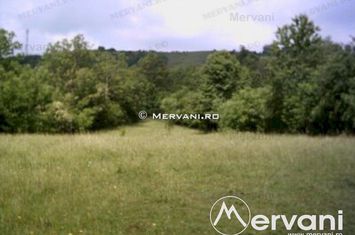 Teren Intravilan de vanzare VOILA - Prahova anunturi imobiliare Prahova