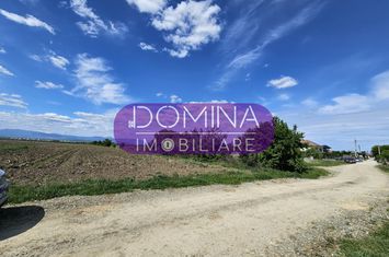 Teren de vanzare DANESTI - Gorj anunturi imobiliare Gorj