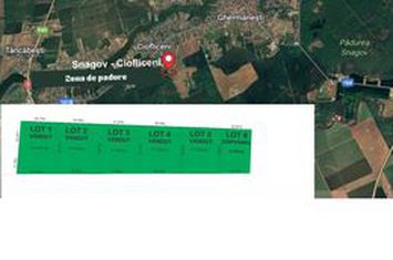 Teren Ciofliceni loturi teren 800 - 1600mp anunturi imobiliare Bucuresti