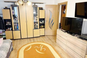 Apartament 2 camere de vanzare LIPOVEI - Timis anunturi imobiliare Timis