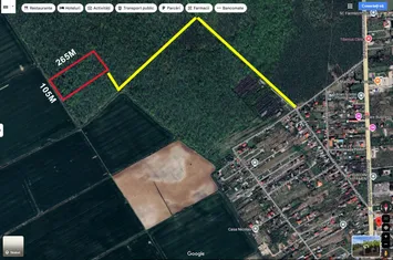 Foto 2 Oportunitate rară: Teren 28.000mp în Săftica-Balotești anunturi imobiliare Saftica