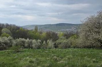 Teren cu vedere panoramica de vânzare în Chinteni anunturi imobiliare Cluj