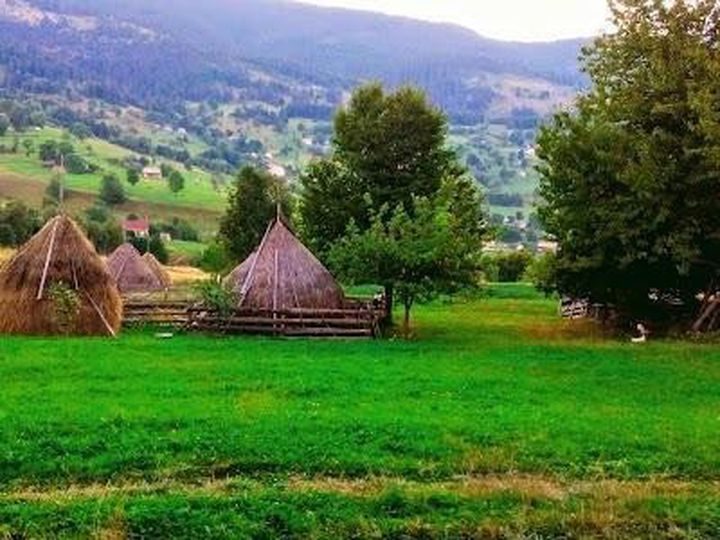 Teren de vanzare ROGOJEL - Cluj anunturi imobiliare Cluj