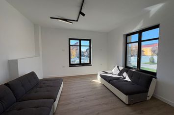 Spațiu comercial de inchiriat TARGU-JIU - Gorj anunturi imobiliare Gorj