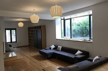 Vila cu teren 1200 mp, zona Iancu Nicolae anunturi imobiliare Bucuresti