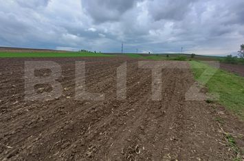 Teren de vanzare SUCEAVA - Suceava anunturi imobiliare Suceava