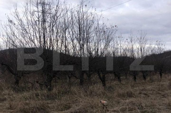 Teren de vanzare TARGOVISTE - Dambovita anunturi imobiliare Dambovita