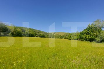 Teren de vanzare MAGHERUS - Covasna anunturi imobiliare Covasna