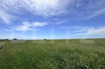 Teren de vanzare COSOVENI - Dolj anunturi imobiliare Dolj
