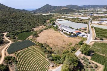 Teren construibil 15.500 mp în Elaiochori anunturi imobiliare Grecia