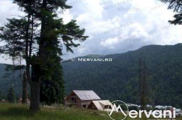 Teren Intravilan de vanzare AZUGA - Prahova anunturi imobiliare Prahova