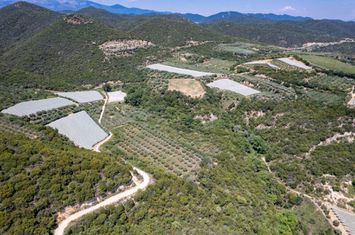 Teren 16358 mp în Folia, la 2 km de plajă anunturi imobiliare Grecia