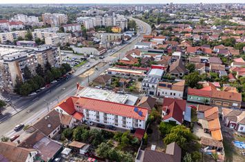 Pensiune funcțională de vânzare pe Calea Radnei, Arad anunturi imobiliare Arad