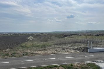 Teren industrial de vanzare Biharia, Bihor anunturi imobiliare Bihor