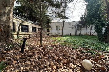 Vanzare - Vila Interbelica - Ideal Birouri - Matei Basarab - Unirii anunturi imobiliare Bucuresti