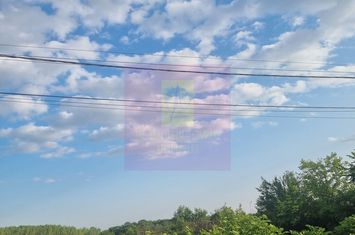VANZARE TEREN 2150 MP IN SAT TEISORI (GR) anunturi imobiliare Giurgiu