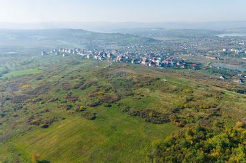 Teren intravilan Ciurea 79408 m.p. anunturi imobiliare Iasi