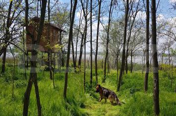 Teren de vanzare CRAIOVA - Dolj anunturi imobiliare Dolj